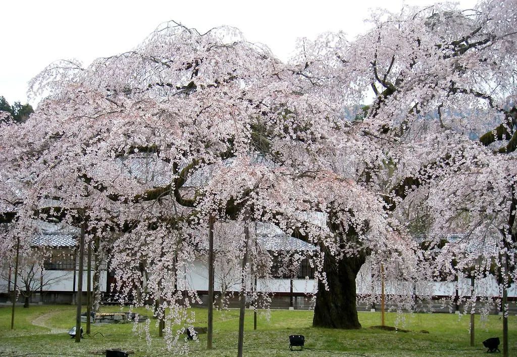 Hotel M's Plus Shijo Omiya Kyoto